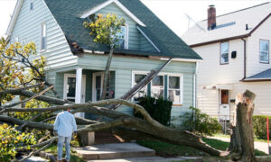 Does Your Massachusetts Homeowner Insurance Cover Tree Damage