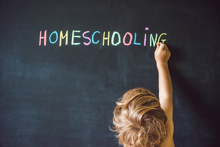 Why Should You Choose Kindergarten Homeschooling for Your Child