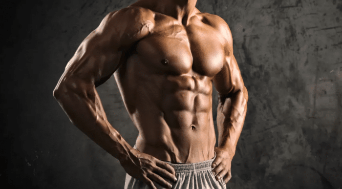 muscular body