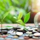 Green Banking — What It Is, How It Works, And How It Can Help Save the Planet