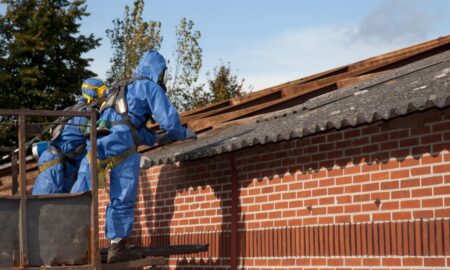 5 Factors to consider when choosing asbestos testing services