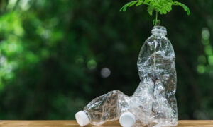 UK Researchers Use Sunlight to Turn Plastic Waste Into Fuel