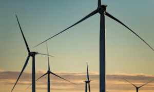 Building the Wind Revolution